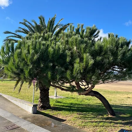 El Rincon De La Playa *