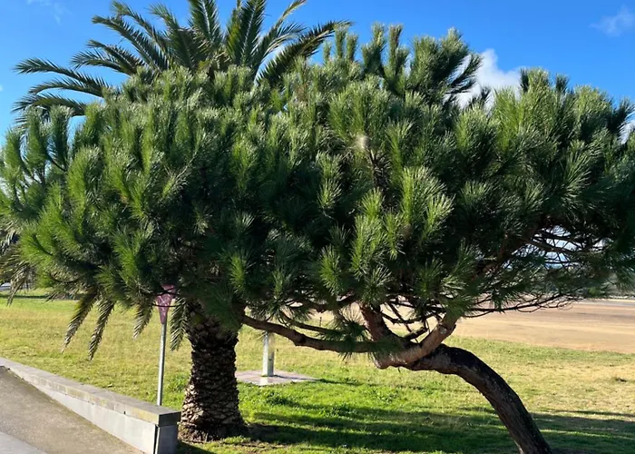 El Rincon De La Playa *